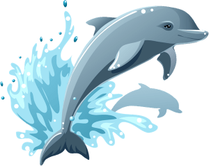 Dolphin 2